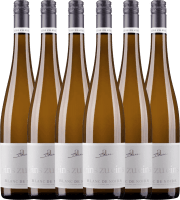 6er Vorteils-Weinpaket - Blanc de Noirs eins zu eins 2022 - A. Diehl
